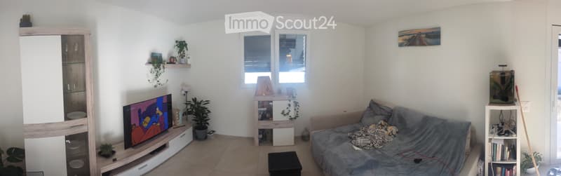 Contone: 2,5/3,5 locali al piano terra con giardino privato (5)