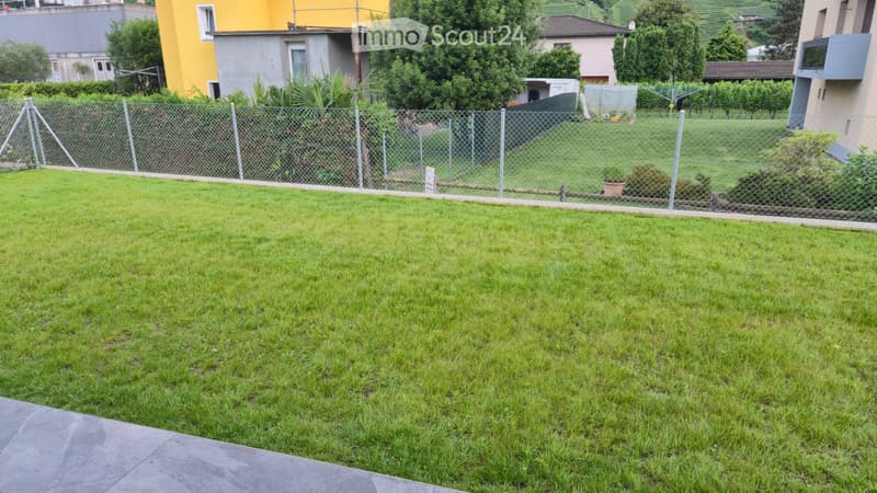 Contone: 2,5/3,5 locali al piano terra con giardino privato (1)