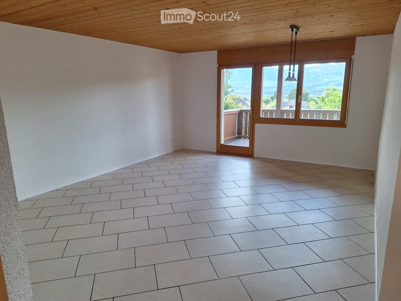 Grosszügige 5.5 Zimmer Wohnung (3)