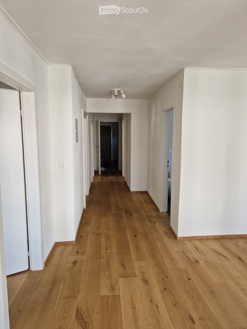 4.5-Zimmer-Wohnung inBonaduz Nachmieter gesucht (2)