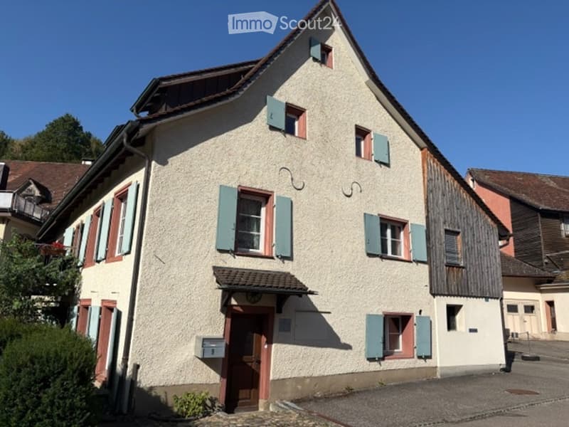 Schéne, helle preisgünstige 2-Zimmerwohnung (1)