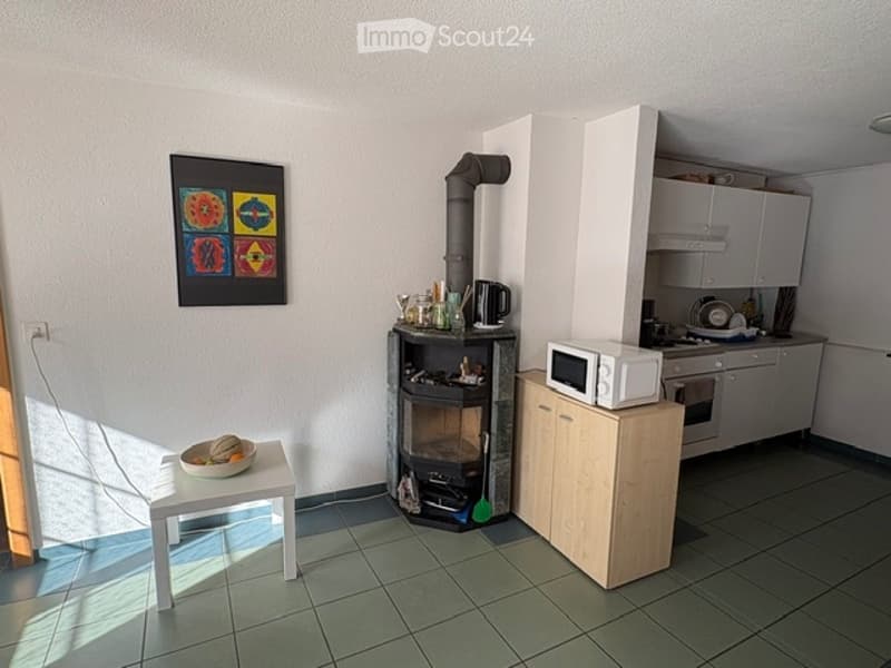 Schéne, helle preisgünstige 2-Zimmerwohnung (3)