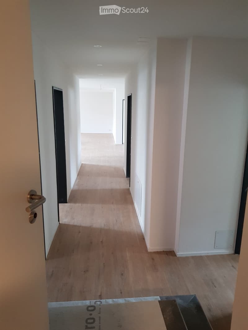 Nachmieter für 4.5-Zimmer-Wohnung per 01.11.2026 gesucht (1)