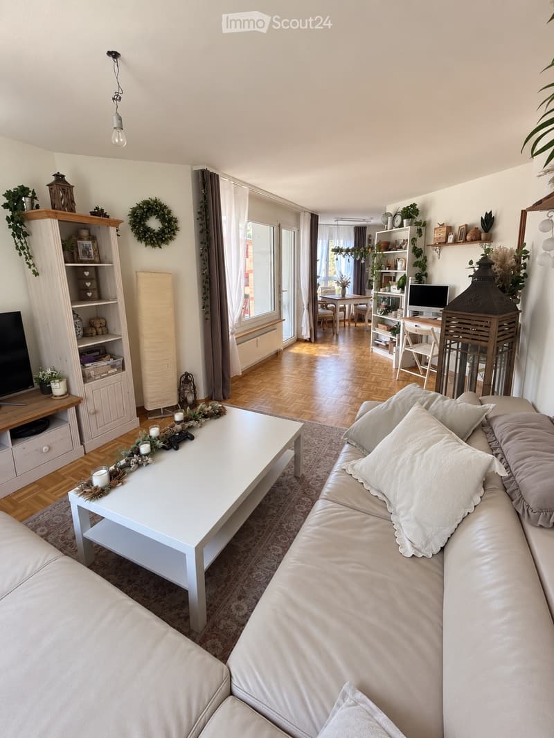 Sonnige 3 Zimmer Wohnung in Liestal (3)