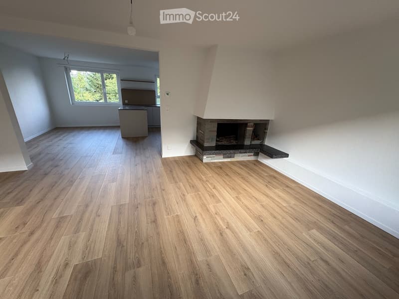 Erstbezug nach Komplettrenovation 5.5-Zi-Reihenhaus & Garten (2)