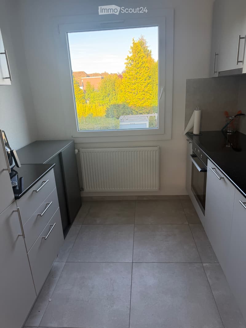 Appartement 3,5 à louer (5)