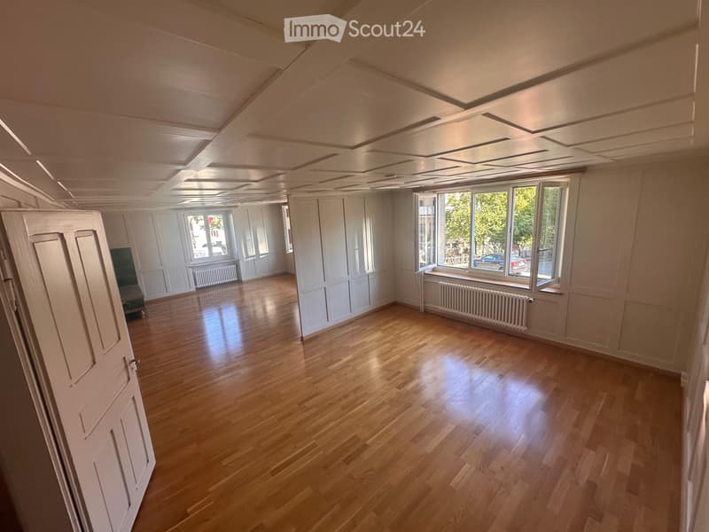 Wohnung zu vermieten. 3,5 / 4,5 Zimmer (1)