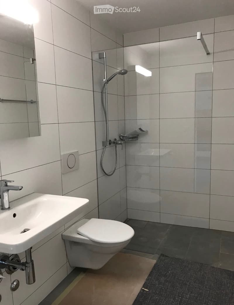 Moderne 3.5-Zimmer-Neubauwohnung mit 2 Balkonen in Luzern (4)