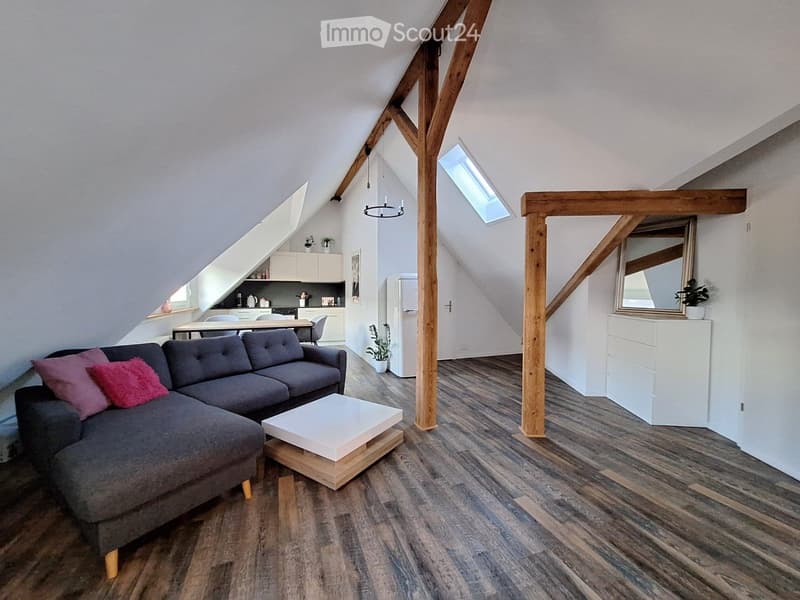 Wunderschöne 2.5-Zimmer-Dachwohnung nahe Bahnhof Dietikon (1)