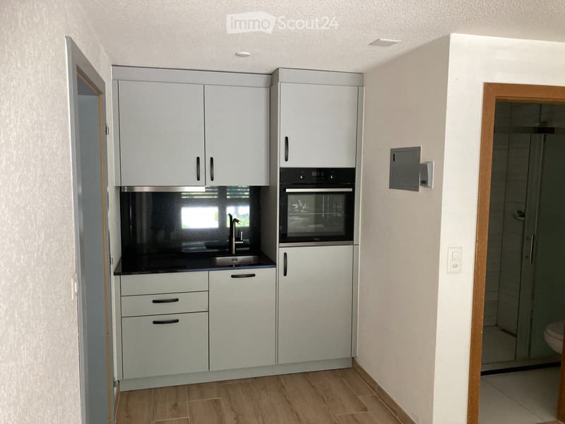 Neu renoviertes Studio zu Vermieten in Agarn /VS (3)