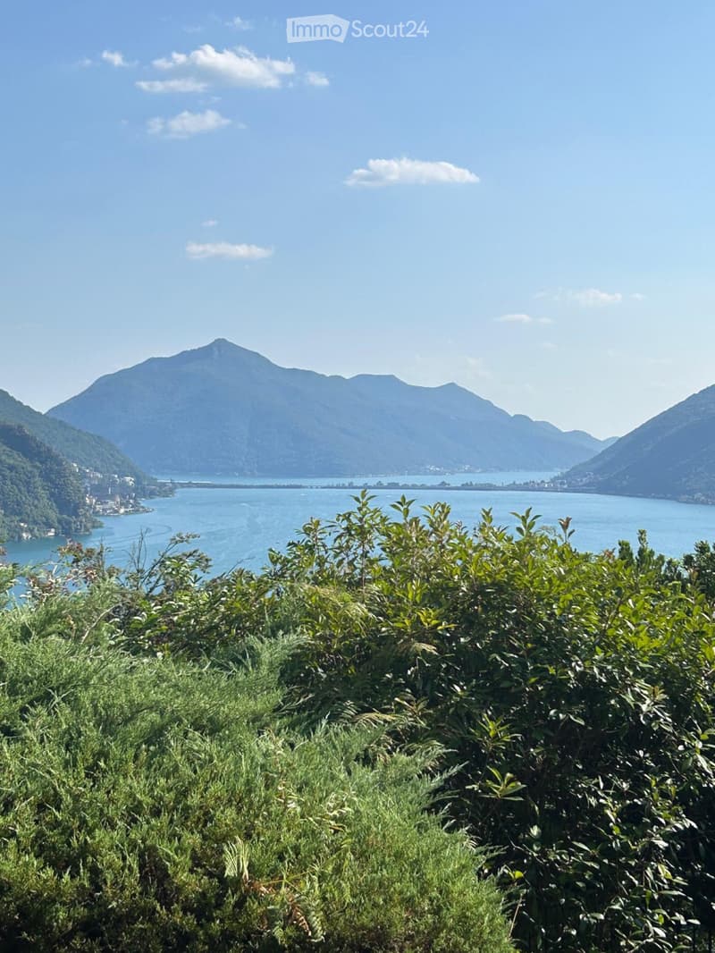 Affitto 2,5 con enorme terrazzo (1)