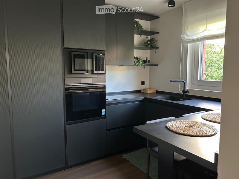 Affitto 2,5 con enorme terrazzo (2)