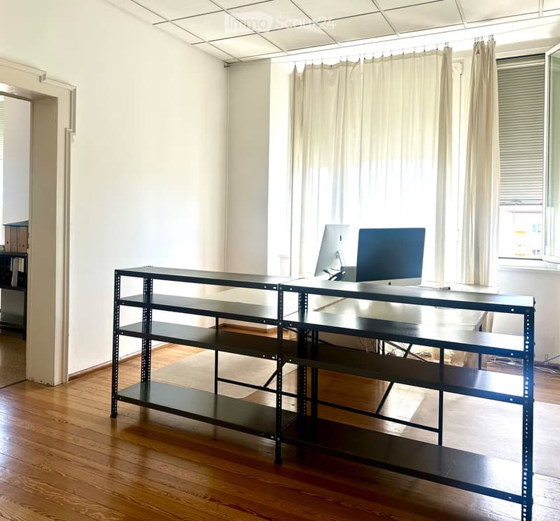 Lugano - Besso Elegante appartamento rinnovato (4)