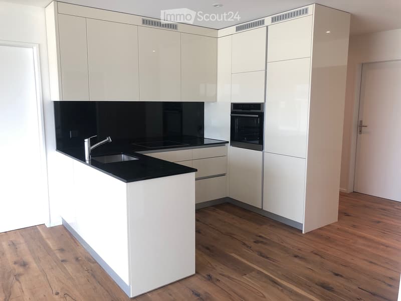 Moderne Attikawohnung mit 30m2 Terrasse (5)