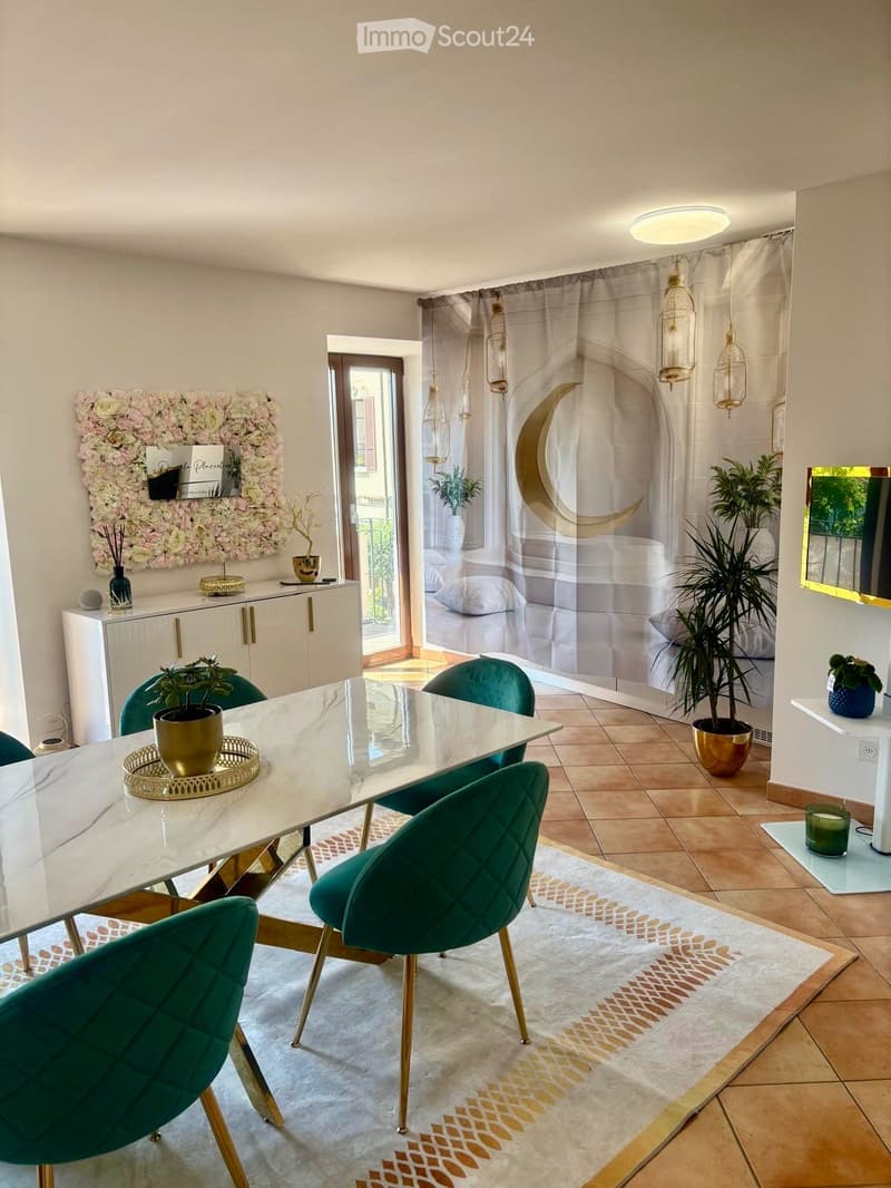 Subentrante magnifico monolocale a Bissone (3)