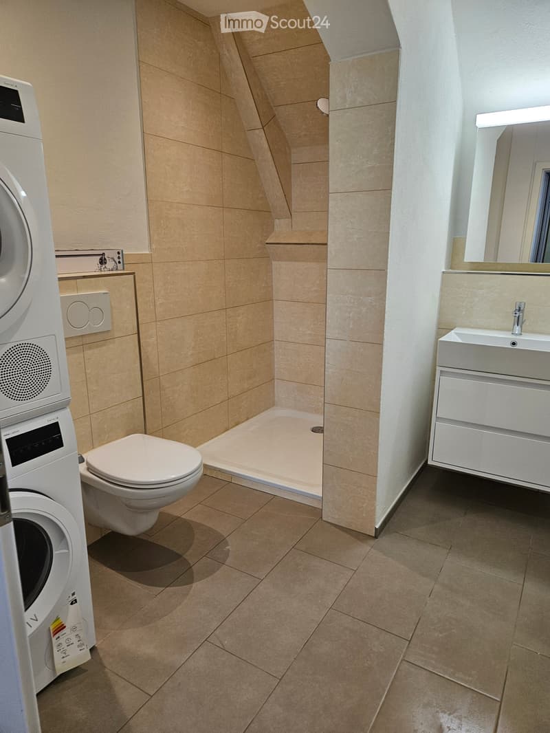 3.5 Zimmer Maisonette-Wohnung (5)