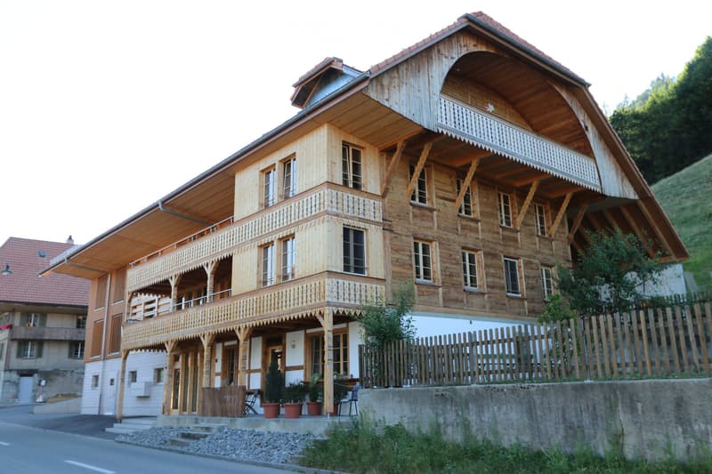 Moderne 3.5-Zimmerwohnung (Hochparterre) in ehem. Bauernhaus (5)