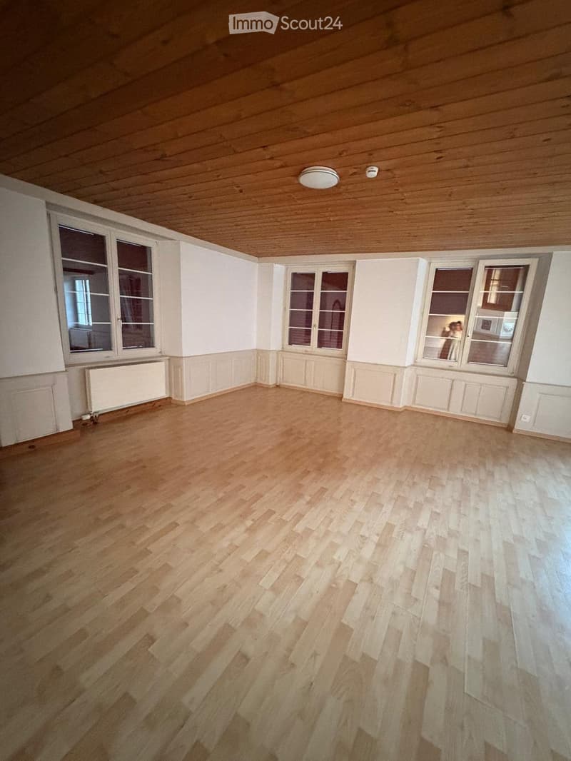 Wohnung hell & grosszügig - Nähe Rhein / Altstadt SH (1)