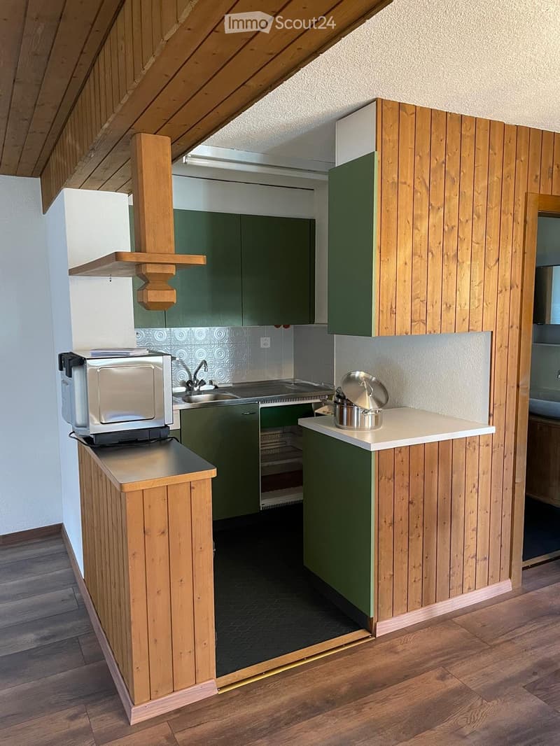 1.5 Zimmerwohnung / Studio zum vermieten (4)