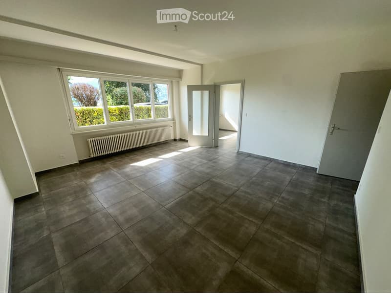 Lugano-Vezia affitto 2 locali, nel verde, zona tranquilla (2)