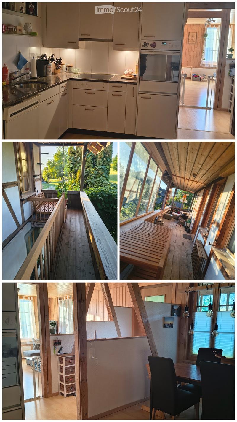3 1/2 Zimmerwohnung (2)