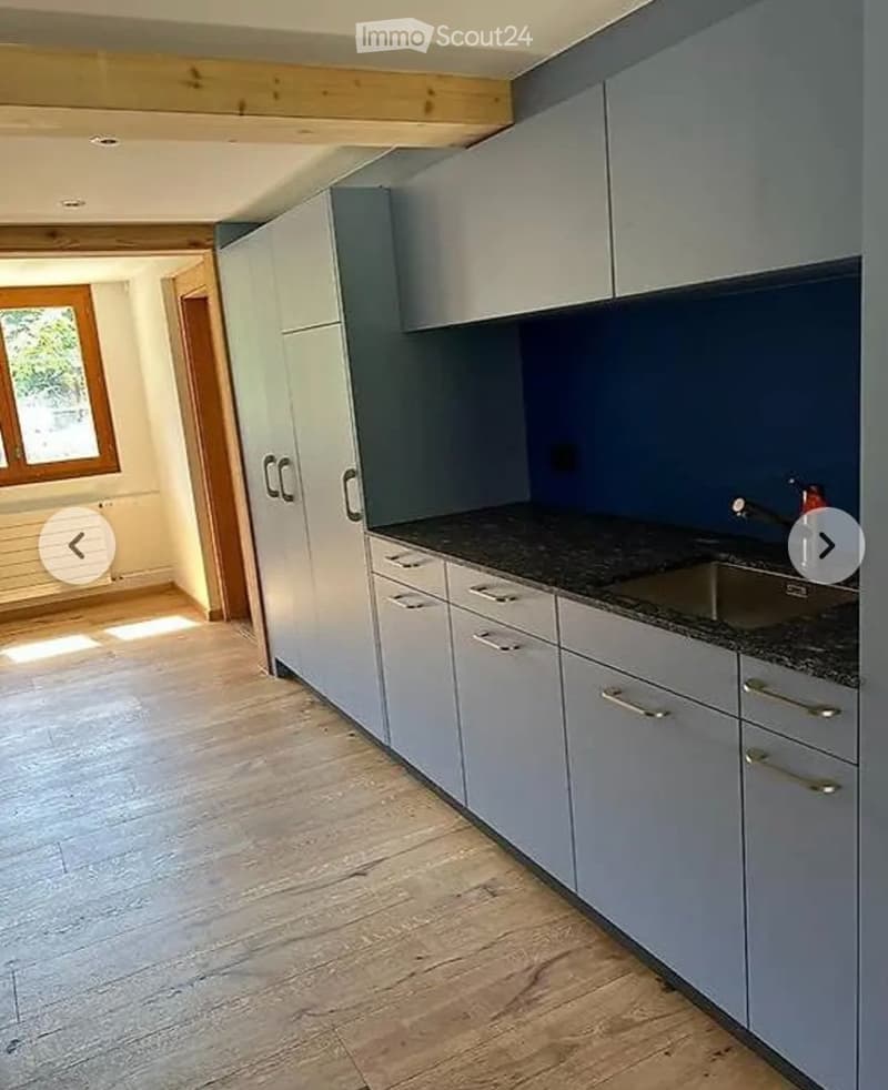 Charmante 2.5-Zimmer-Wohnung in Brittern (1)