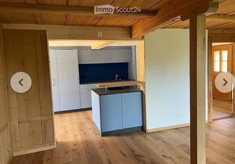 Charmante 2.5-Zimmer-Wohnung in Brittern (3)