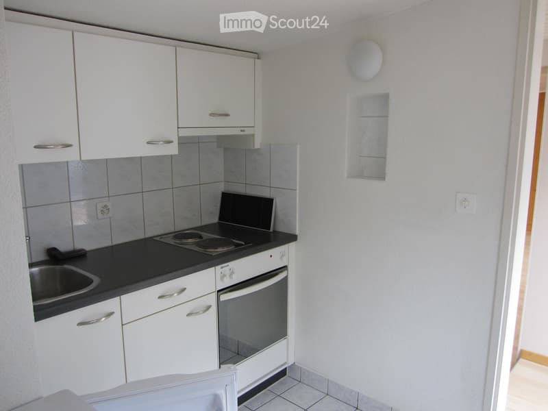 Heimelige 1.5 Zimmer-Wohnung mit grosser Dachterrasse (2)