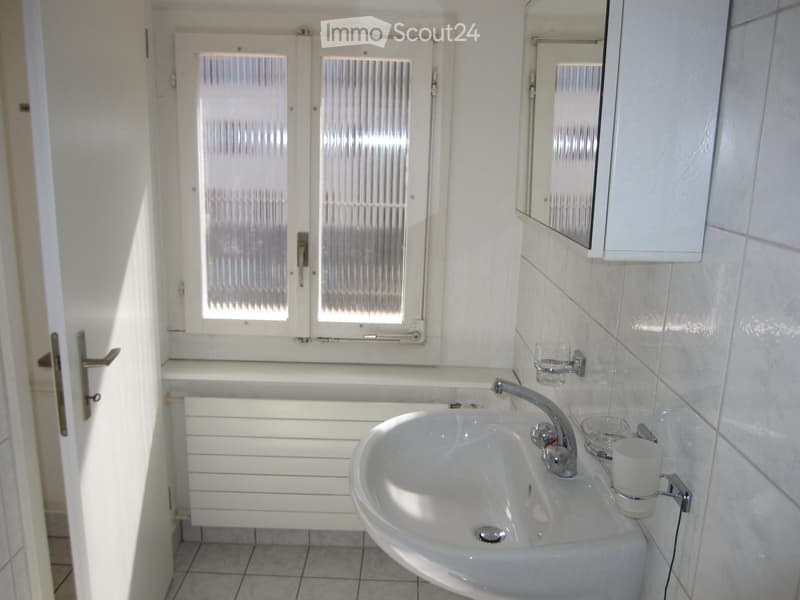 Heimelige 1.5 Zimmer-Wohnung mit grosser Dachterrasse (4)