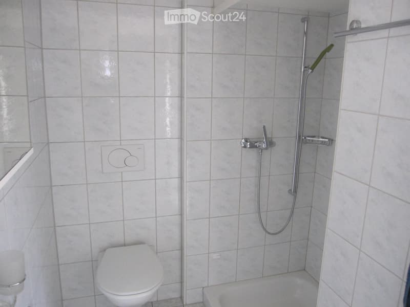 Heimelige 1.5 Zimmer-Wohnung mit grosser Dachterrasse (5)