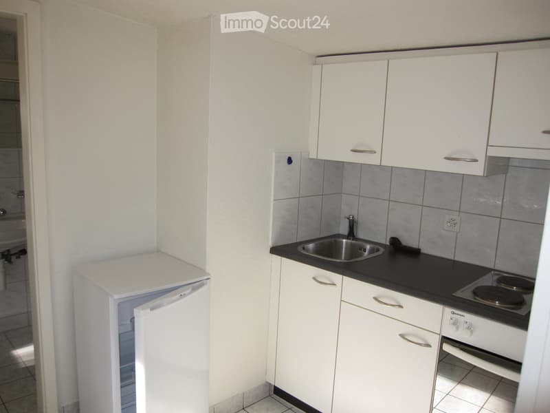 Heimelige 1.5 Zimmer-Wohnung mit grosser Dachterrasse (3)