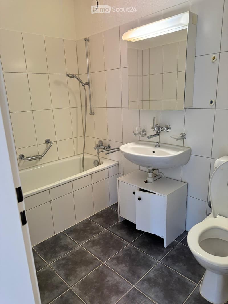 Rent a 1 room apartment in Zürich (4)