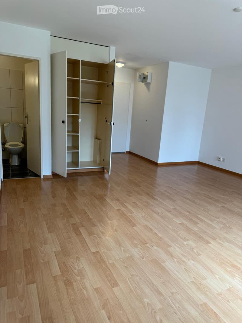 Rent a 1 room apartment in Zürich (3)