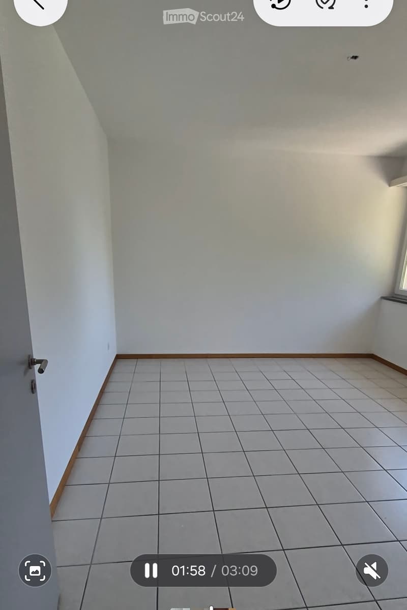 Cerco subentrante 2.5 locali grandi (1)