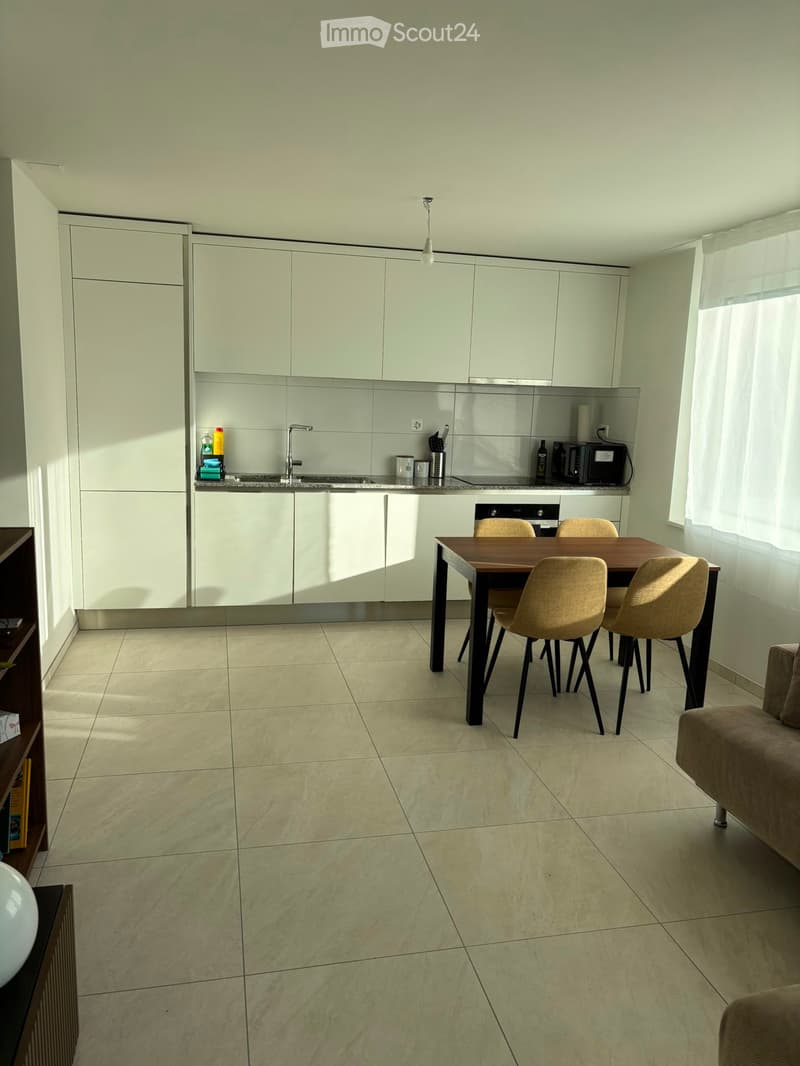 Appartement 2.5 Lausanne (4)