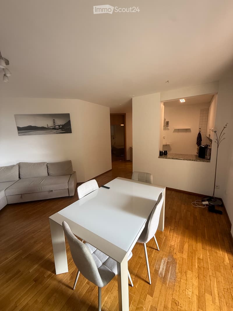 Appartamento 3.5 a Massagno (3)
