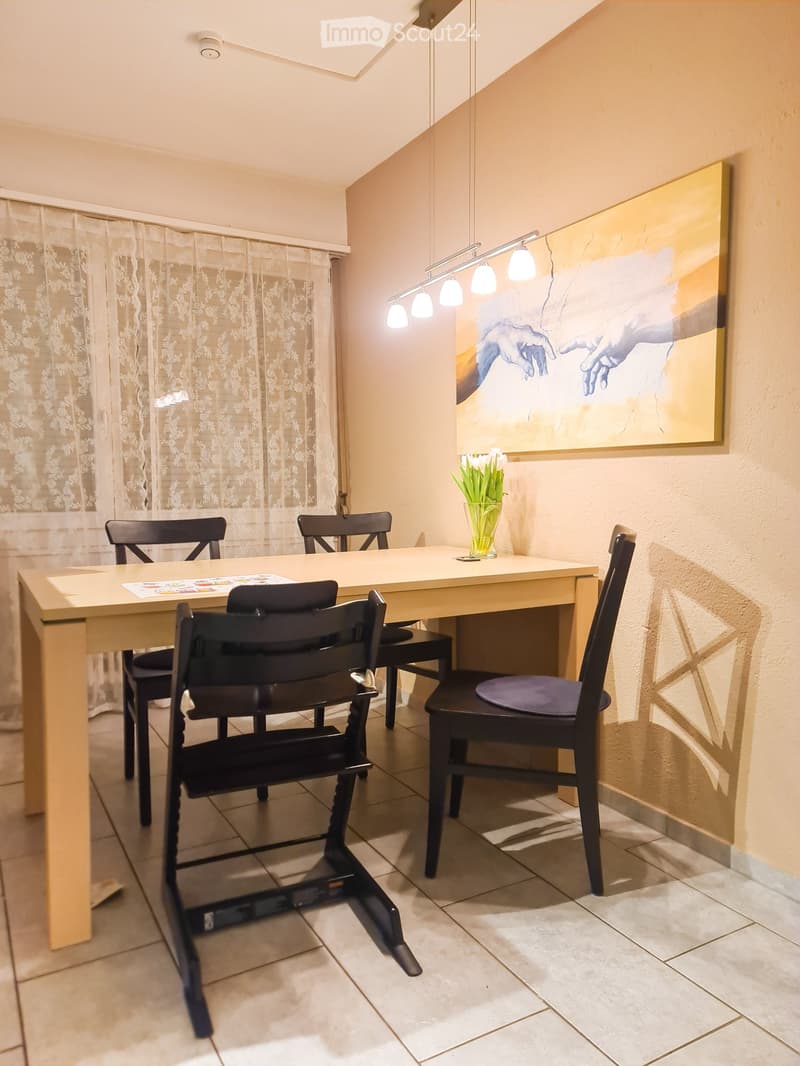 Schöne 3.5-Zimmerwohnung (3)