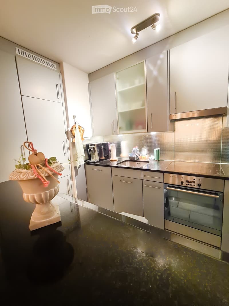 Schöne 3.5-Zimmerwohnung (2)
