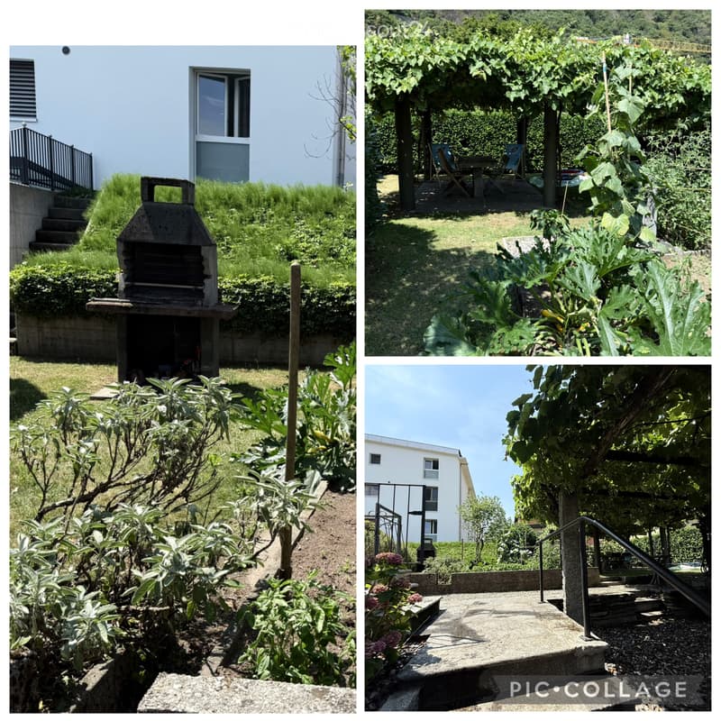 App. 2,5 locali, giardino, ingresso indipendente Gorduno (4)