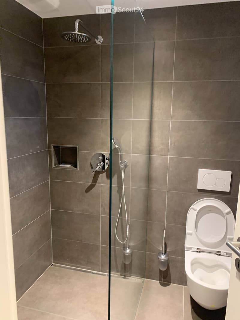 Affitto appartamento 5.5 (13)