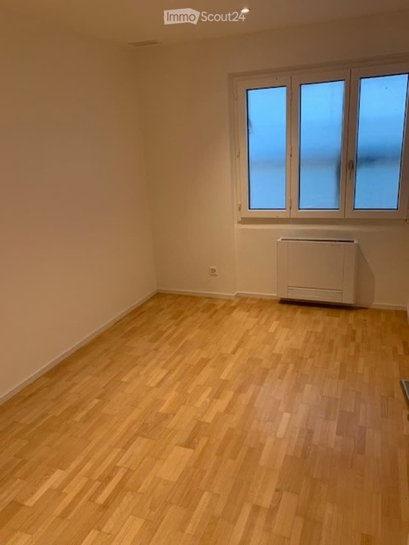 Affitto appartamento 5.5 (7)