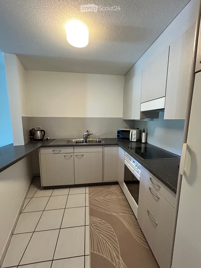 2.5Zimmer Wohnung (3)