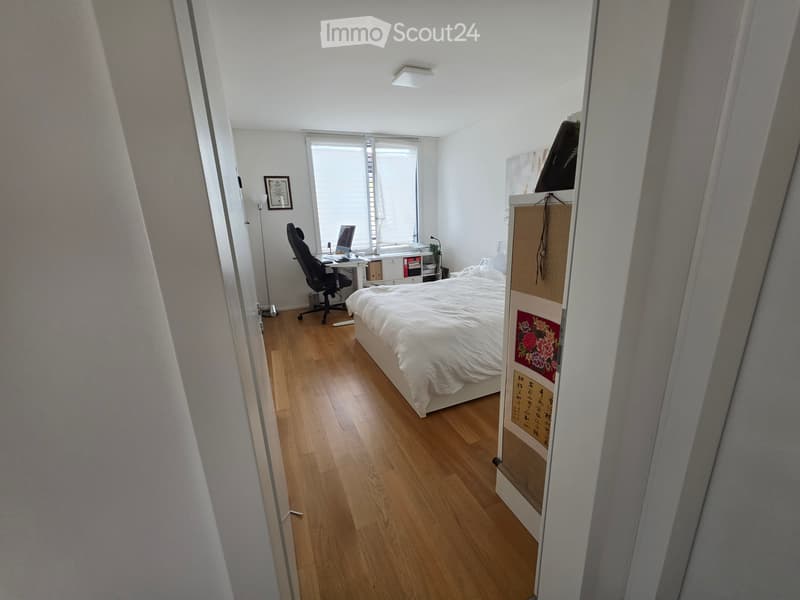 Subentrante Moderno 2.5 Massagno (da 01.01.27) (3)