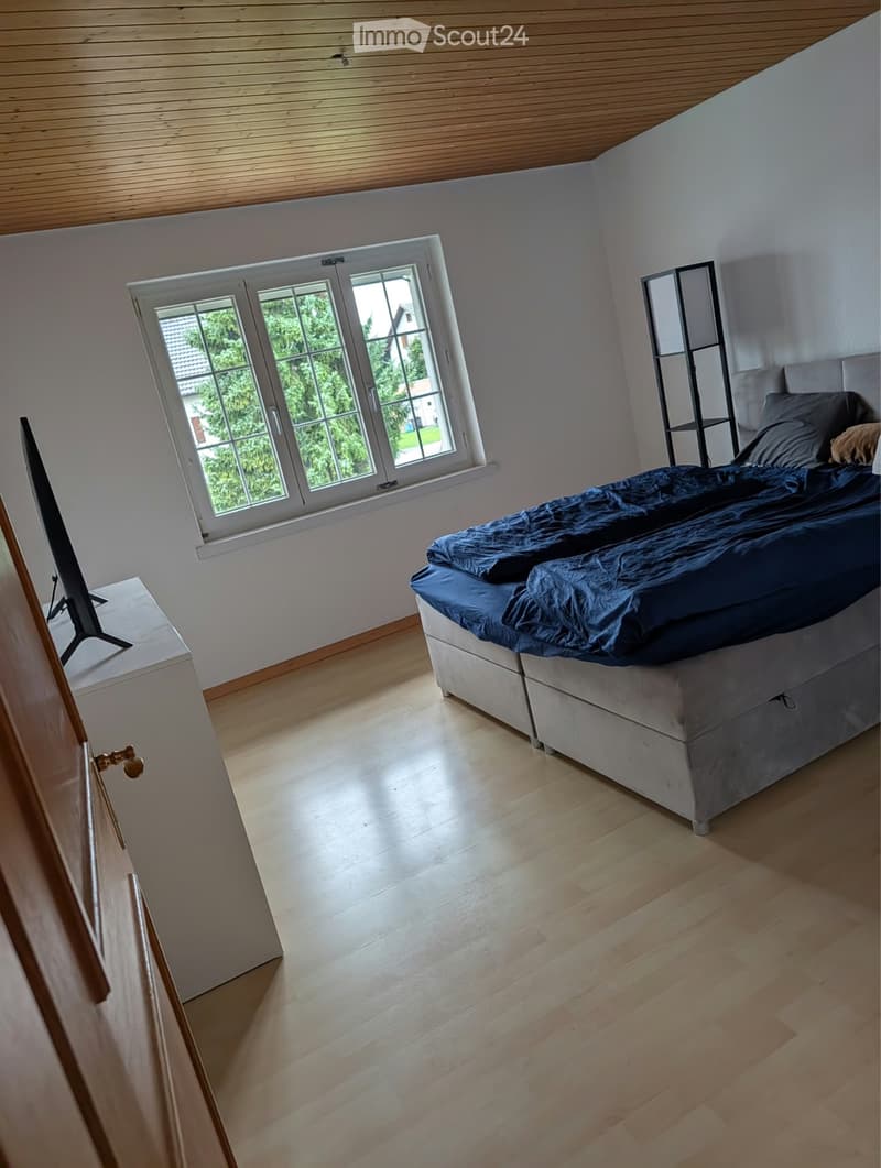 Einfamilienhaus (3)