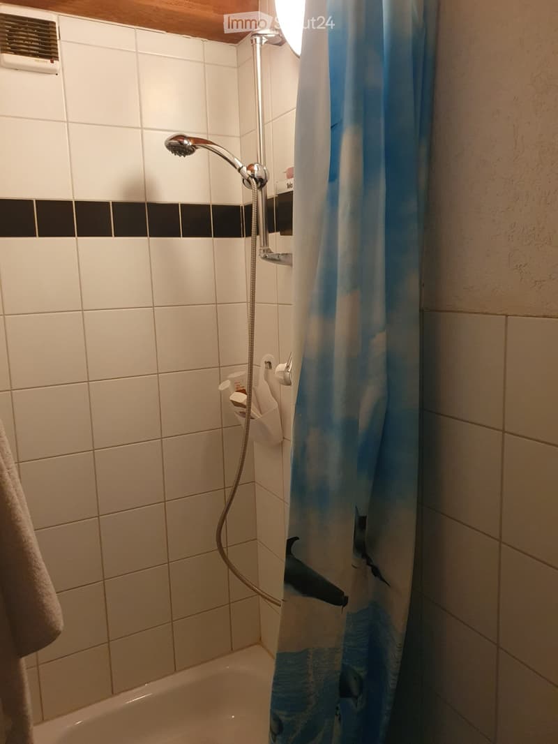 WG-Zimmer in Pratteln zu vermieten (4)