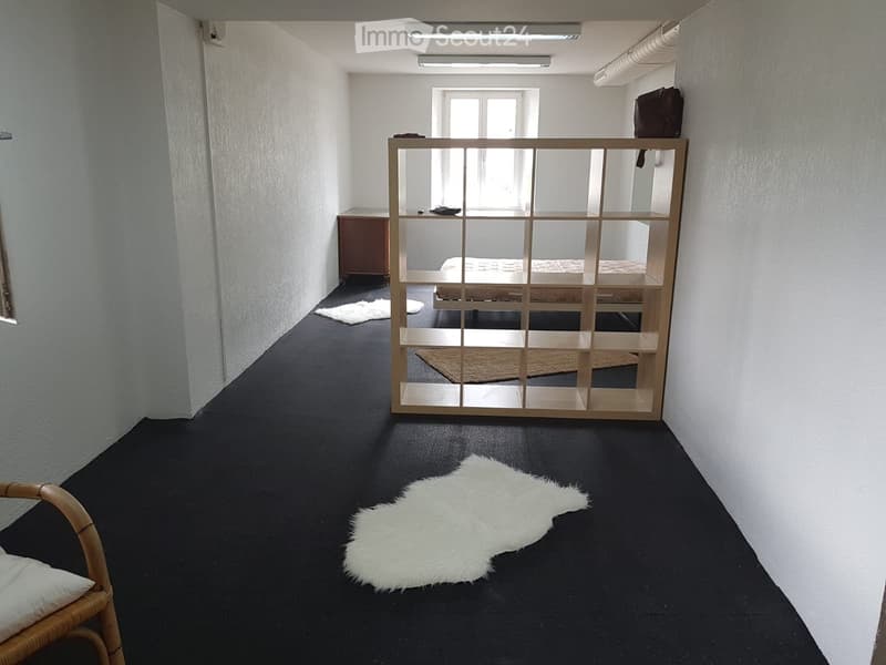 WG-Zimmer in Pratteln zu vermieten (11)
