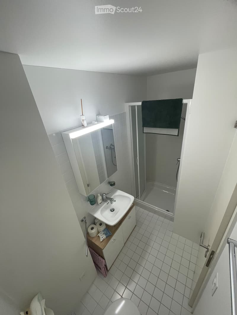 Appartamento 4.5 Ponte Capriasca (4)