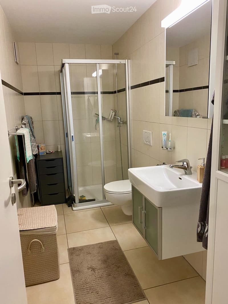 Schöne, helle Wohnung im 2. OG ab 1.12. od nach Vereinbarung (4)