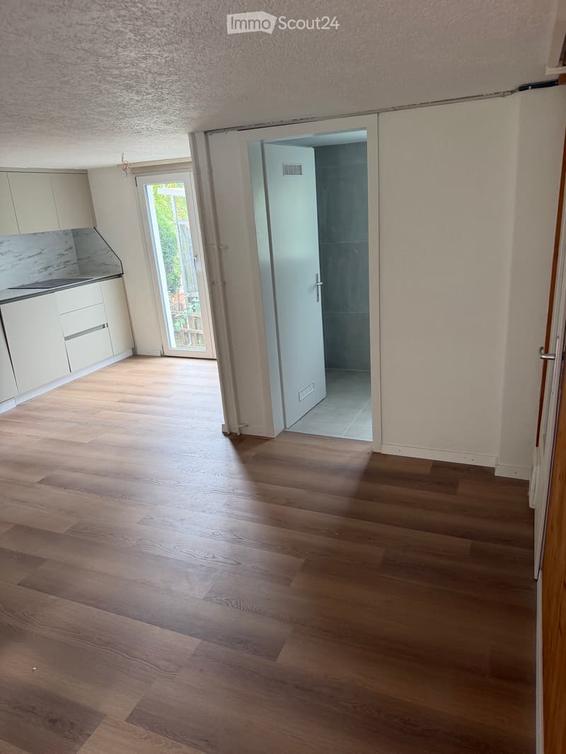 Neue Renovierte Haus zu vermieten (4)