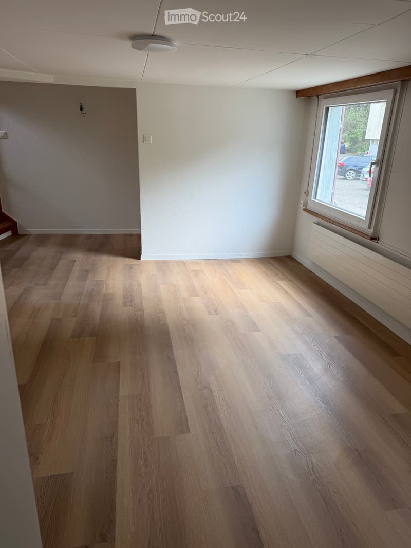 Neue Renovierte Haus zu vermieten (5)